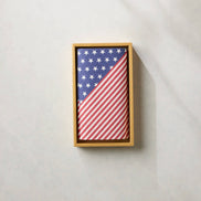 Liberty Not Paper Towel